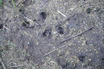 DSCF2571.JPG