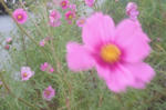 DSCF2581.JPG