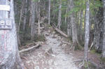 DSCF2595.JPG