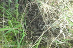 DSCF2692.JPG