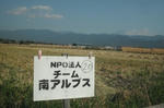DSCF2725.JPG