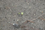 DSCF2790.JPG
