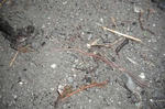 DSCF2792.JPG