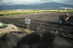 DSCF2837.JPG