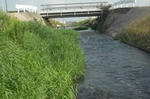 DSCF2842.JPG