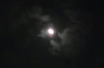 DSCF2875.JPG