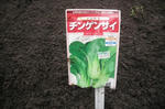 DSCF2885.JPG