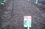 DSCF2886.JPG