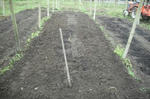 DSCF2890.JPG