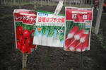 DSCF2892.JPG