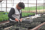 DSCF2905.JPG