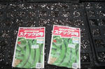 DSCF2914.JPG