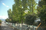 DSCF2923.JPG