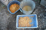 DSCF2926.JPG