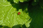 DSCF2937.JPG