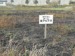 DSCF4035.JPG