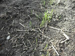 DSCF4313.JPG