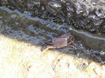 DSCF4328.JPG