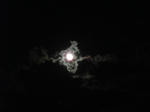 DSCF4403.JPG