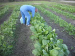DSCF4407.JPG