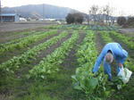DSCF4408.JPG