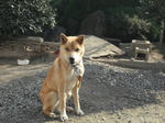 DSCF4508.JPG
