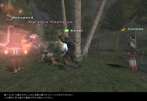 2008042802.jpg
