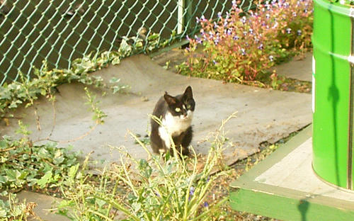 2008101903.JPG