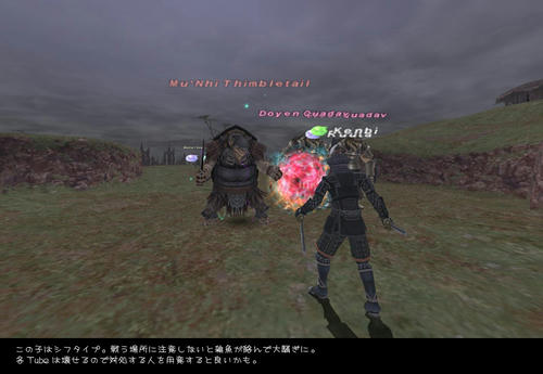 2008110506.jpg