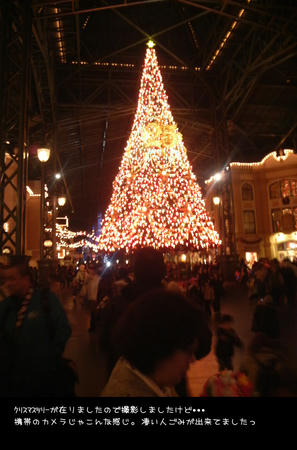 2008112802.JPG