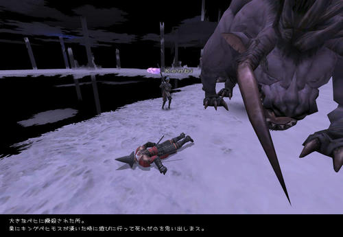 2008112906.jpg