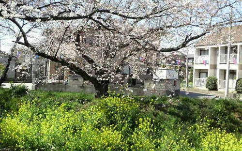 20090401.JPG