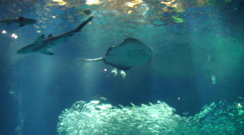 2009051604.JPG