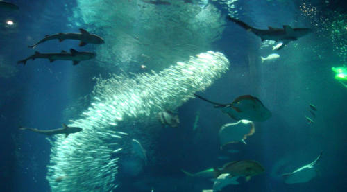 2009051605.JPG