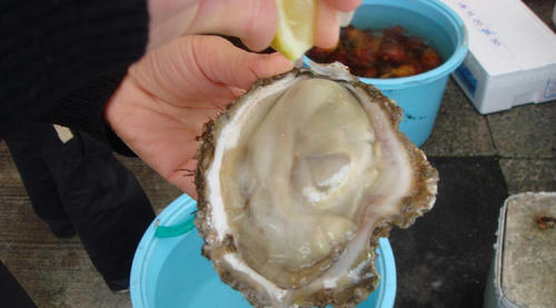 2009051606.JPG