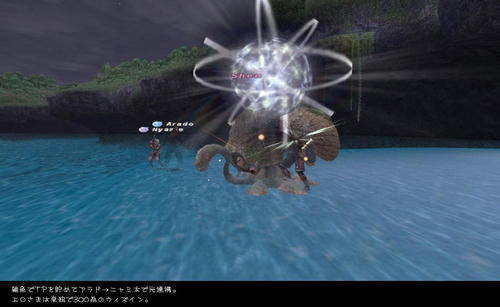 2009060307.jpg