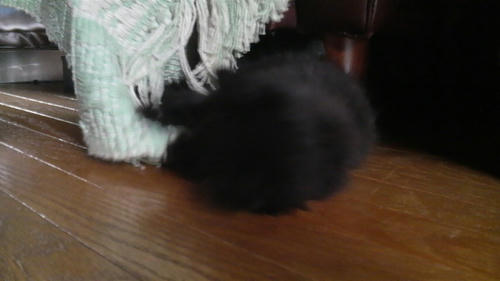 2009061201.jpg