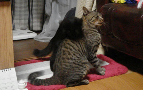 2009080802.JPG