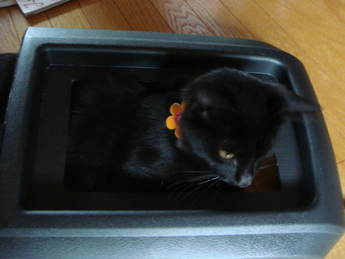2009090312.JPG