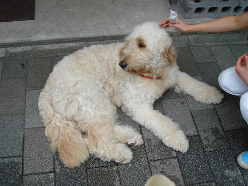2009091202.JPG