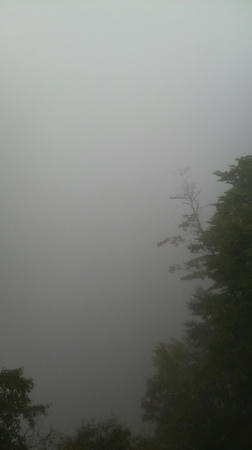 2009093003.jpg