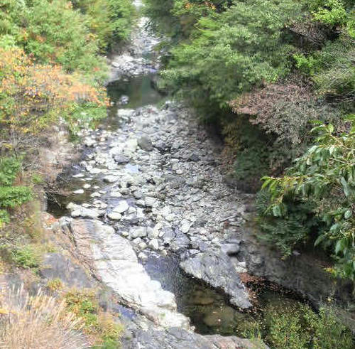 2009093005.jpg
