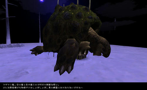 2009103102.jpg