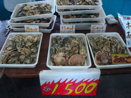 2009111305.JPG