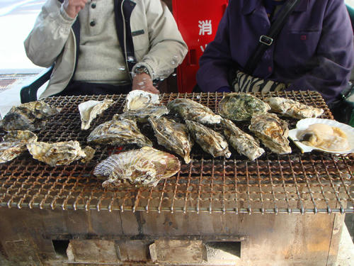 2009111306.JPG