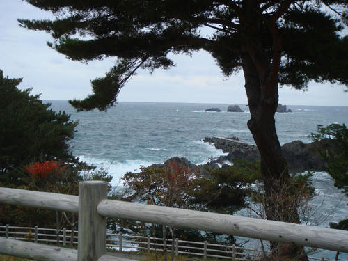2009111307.JPG