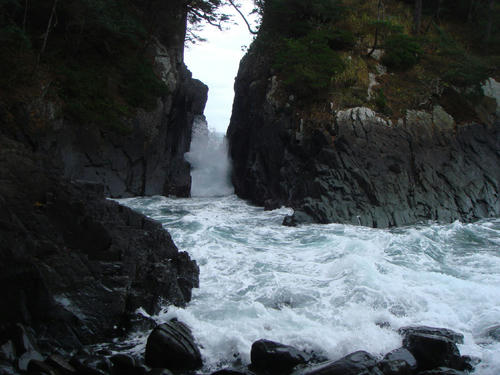 2009111308.JPG