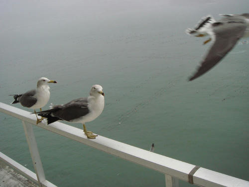2009111309.JPG