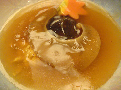 2009111313.JPG