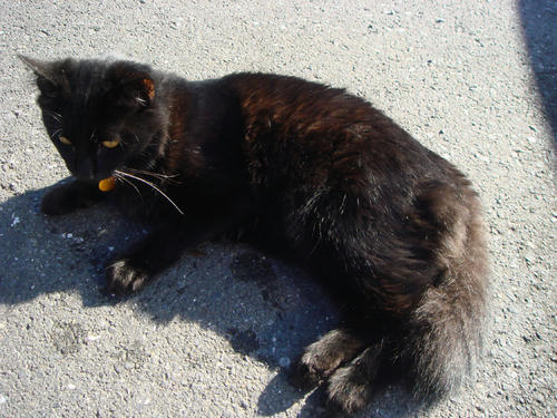 2009111507.JPG